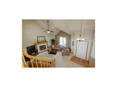 New Lighting & Ceiling Fans