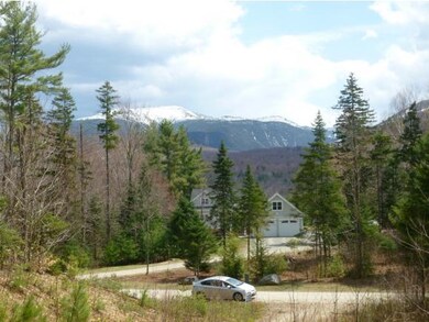 0 Morristown unit 4404167, Franconia, NH 03580 - photo 6