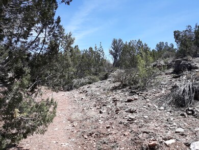 Lot 390 Unit 4 Juniperwood Ranch, Ash Fork, AZ 86320 - photo 7