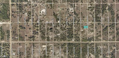 1619 Wellington Ave, Lehigh Acres, FL 33972 - photo 4