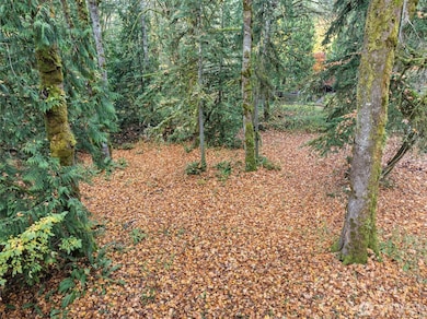 1147 SE Salmonberry Rd, Port Orchard, WA 98366 - photo 3