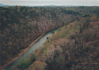 Bird's eye view featuring a forest view
