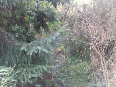 8 Driftwood Dr, Ocean City, WA 98569 - photo 2