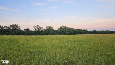 014 Tomahawk Slab Rd, Saint Joe, AR 72675 - photo 2