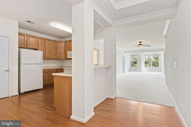 700 Cattail Cove, Cambridge, MD 21613 - photo 4