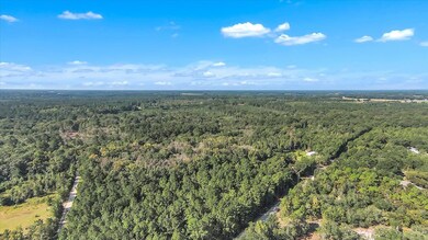 1370 Hillside Dr, Claxton, GA 30417 - photo 7