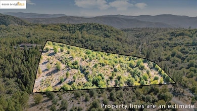 00 Jackass Creek Rd, Groveland, CA 95321 - photo 2
