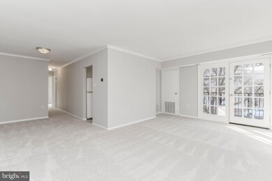 5937 Quantrell Ave unit 304, Alexandria, VA 22312 - photo 5