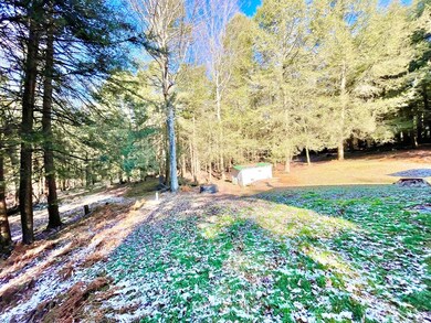Left Side of Property/ Shed #2/ Septic Location