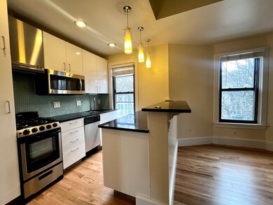 106 Magazine St unit 3, Cambridge, MA 02139 - photo 2