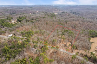 DJI_0295line2