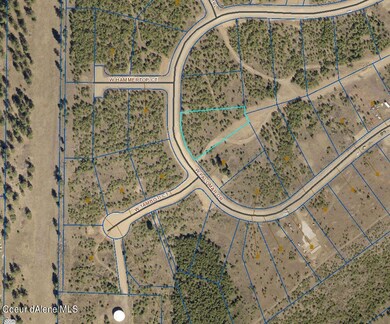 Aerial Map _ Close