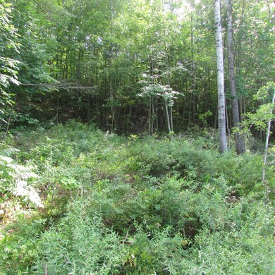 00 South St, Littleton, NH 03561 - photo 4