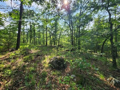 4, Wister, OK 74966 - photo 4