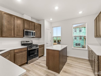 14946 S Dyer Ln, Plainfield, IL 60544 - photo 4