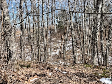 6630 Voyageurs Trail, Biwabik, MN 55708 - photo 3