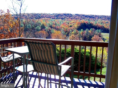 30 The Hill Rd unit L-30, Basye, VA 22810 - photo 5