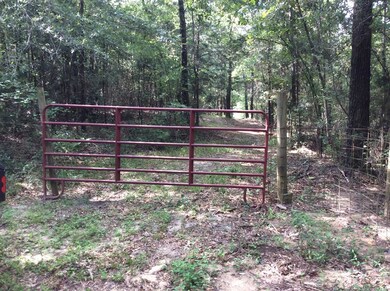 4837 Quail Tower Rd, Luverne, AL 36049 - photo 7