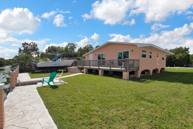 Back yard 2