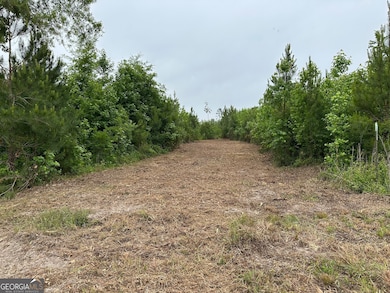 01 Pine Hill Church Rd, Waynesboro, GA 30830 - photo 6