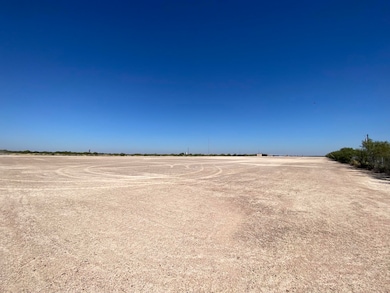 549 Garza-Jones Ln, Laredo, TX 78045 - photo 6