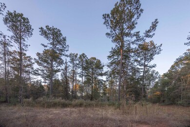 Tbd Barr Chapel Rd, Edgefield, SC 29824 - photo 5