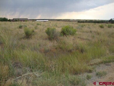 0 Road S unit 1 739515, Cortez, CO 81321 - photo 3