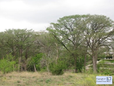 885 River Terrace, New Braunfels, TX 78130 - photo 2