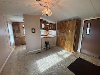 11510 Boyne Blvd, Allendale, MI 49401 - photo 6