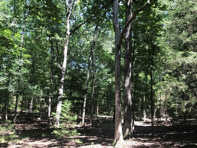 Lot 3 Guillebeau Rd, Lincolnton, GA 30817 - photo 7