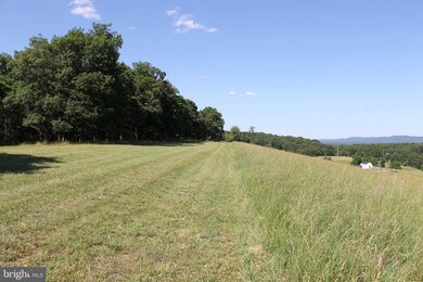 29.63 Ac Push Root Rd, Burlington, WV 26710 - photo 4