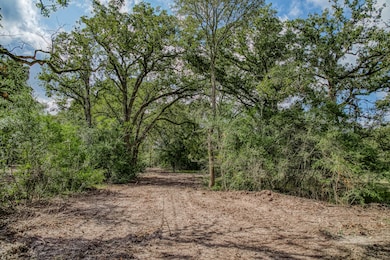 Tract 2 Sun Oil Rd, Brenham, TX 77833 - photo 2