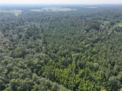 0 Louisiana 1045, Amite, LA 70422 - photo 5