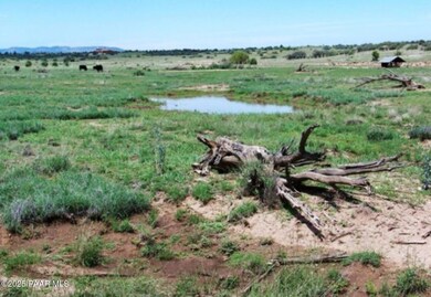 25 Doric Way, Prescott, AZ 86305 - photo 5