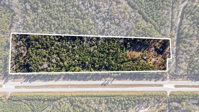 705 Catclaw Rd, Andrews, SC 29510 - photo 2