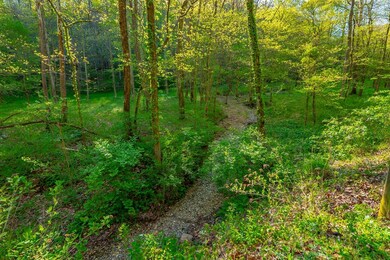 828 Blue Stocking Hllw Rd, Shelbyville, TN 37160 - photo 4