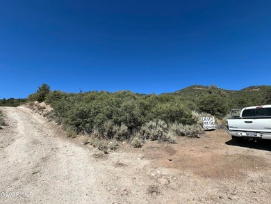 Martin land photo 4