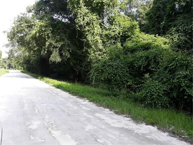 Lot 6 SW Alabama Glen, Fort White, FL 32038 - photo 5