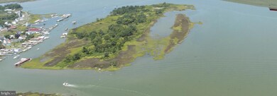 0 Unknown unit MDSO101842, Ewell, MD 21824 - photo 2