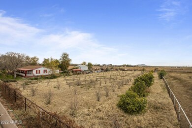 Orchard