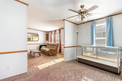 Living room with crown molding, ceiling fan, a tex