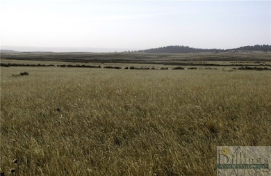 0 Nhn Lindstrom Rd unit 21956322, Shepherd, MT 59079 - photo 3