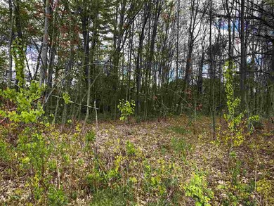 314 Dover Rd, Chichester, NH 03258 - photo 7