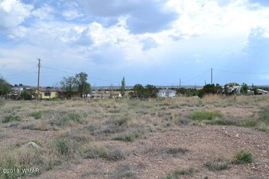 Tanner Lane 022