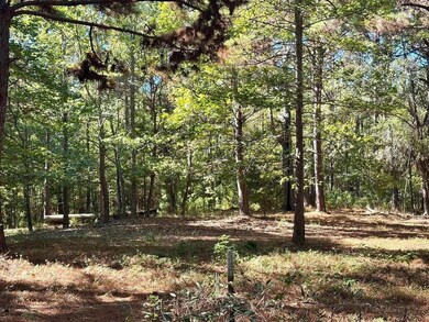 TBD County Road 3568, Woodville, TX 75979 - photo 5