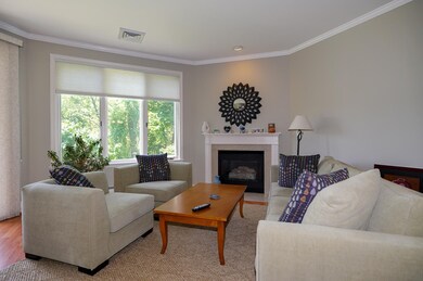 501 Lexington St unit 7, Waltham, MA 02452 - photo 5