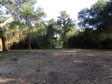 30354 Hegar Rd, Hockley, TX 77447 - photo 6