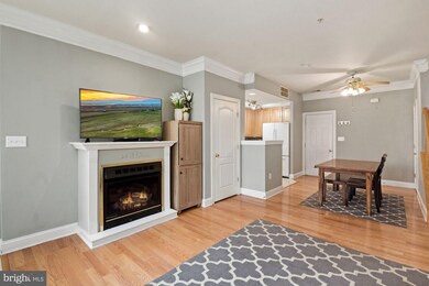 113 Chevy Chase St, Gaithersburg, MD 20878 - photo 4