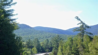 5 Golden Heights Rd unit 36.3, Waterville Valley, NH 03215 - photo 5