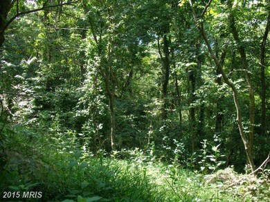 LOT 16 Bragg Dr, Front Royal, VA 22630 - photo 3